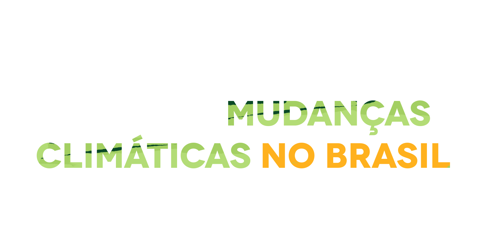Selo do Especial