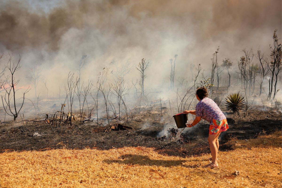 Com seca e queimadas, Brasil está na contramão do direito a um meio ambiente saudável