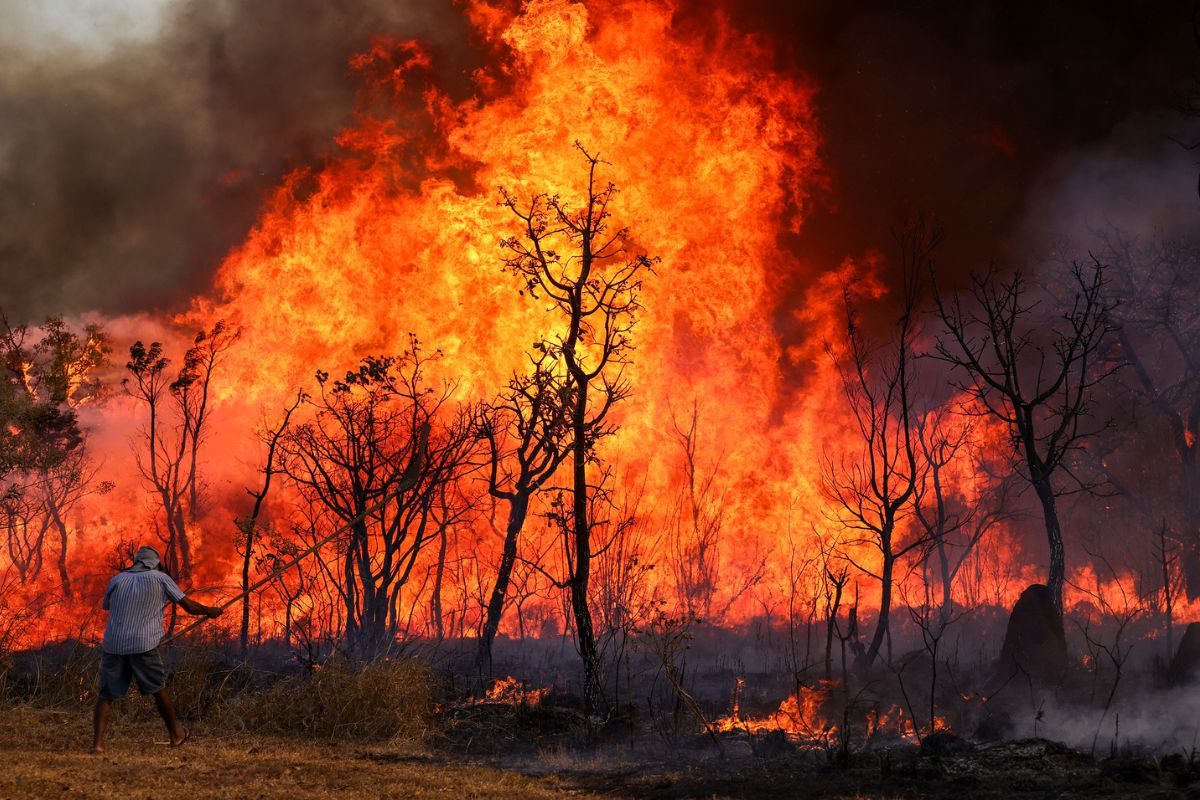 Com queimadas e seca extrema, Brasil está na contramão de efetivar o direito a um meio ambiente saudável