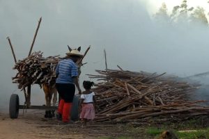Crianças e adolescentes negros são maioria dos 1,6 milhão em situação de trabalho infantil.