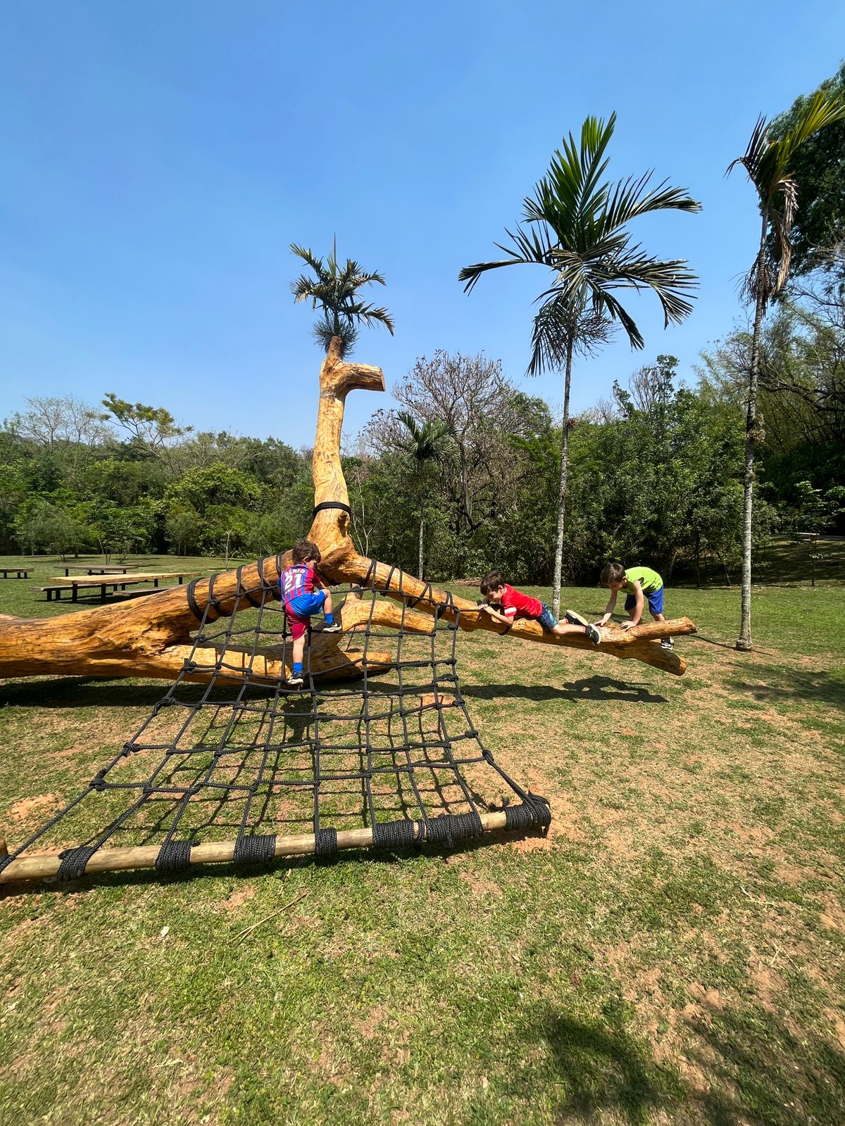 P que são parques naturalizados e como fortalecem o vínculo das crianças com a natureza. 