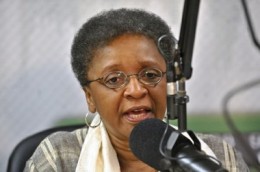 Ministra da Igualdade Racial, Luíza Barrios / Créditos: Elza Fiúza / ABr