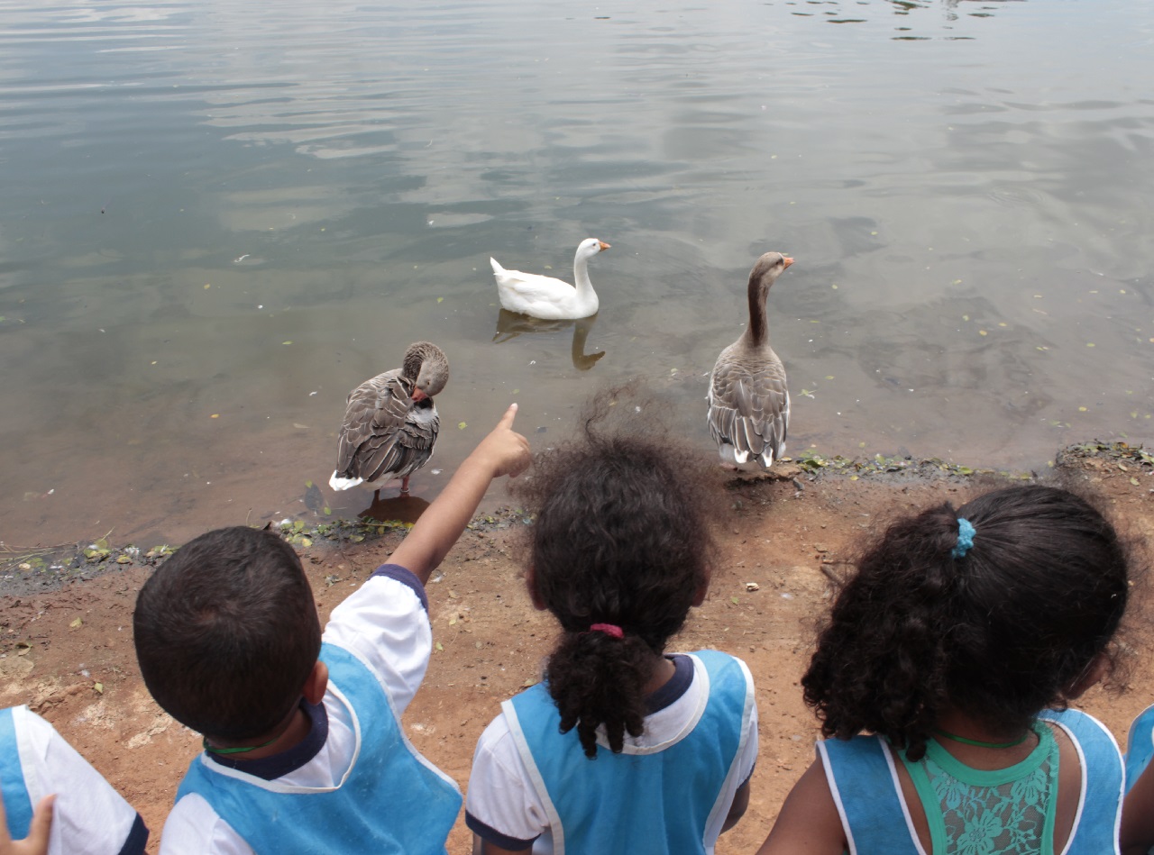 Visita Ao Parque Ibirapuera Conjuga Aprendizado E Diversão - Educação E ...