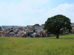 Vista do chamado Parque dos Búfalos, localizado na periferia de São Paulo.