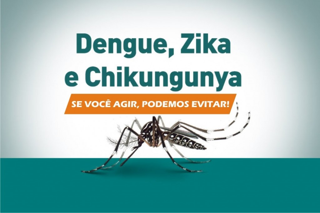 Campanhas do governo federal focaram no combate doméstico ao mosquito