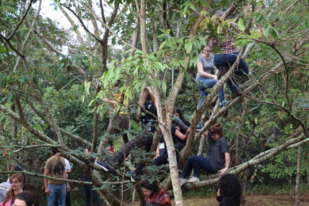 adultos sobem em árvores do sesc interlagos 