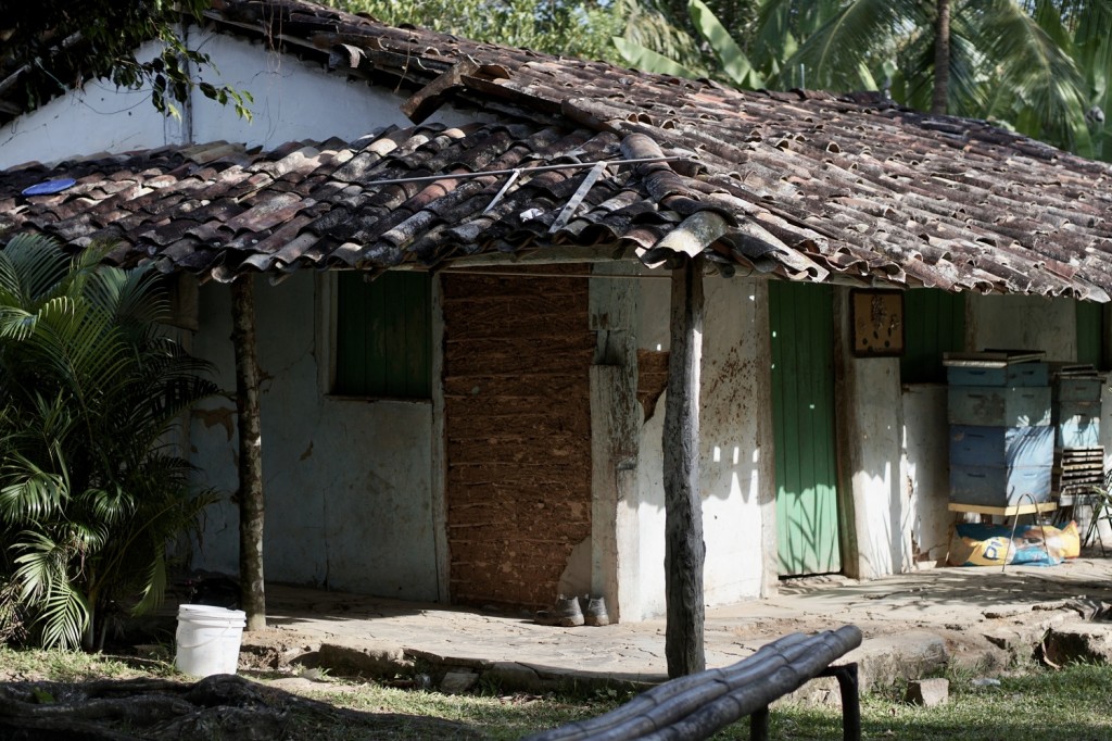casa de pau-a-pique em quilombo baiano