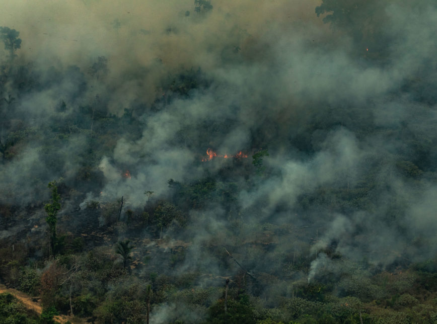 queimadas no Pará vista de cima pelo greenpeace