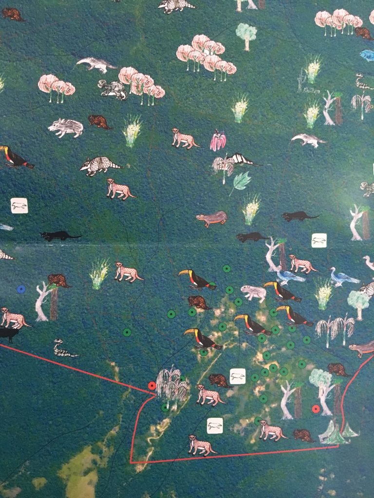 mapa digitalizado de território indígena