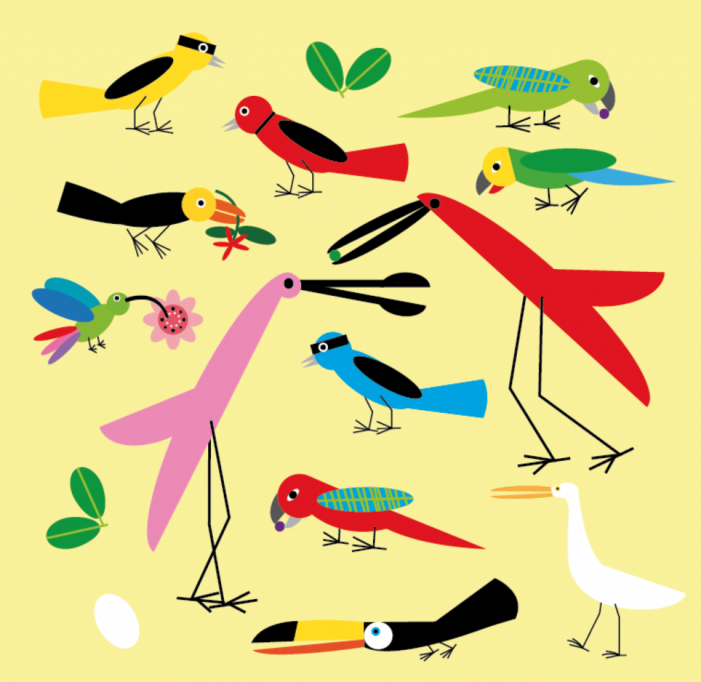 Livro Terra dos Papagaios / Crédito: blog Mariana Massarani